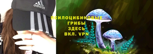 a pvp Каменка
