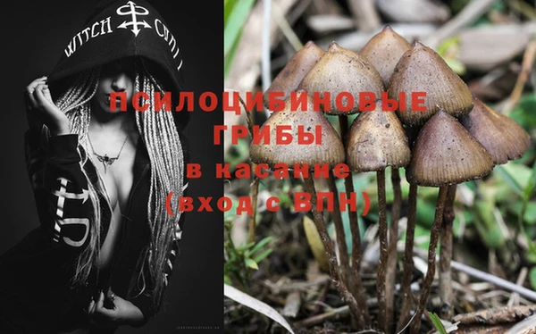 мескалин Инсар
