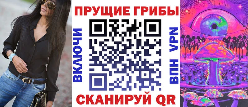 Галлюциногенные грибы Psilocybe  Купить где  Гурьевск 